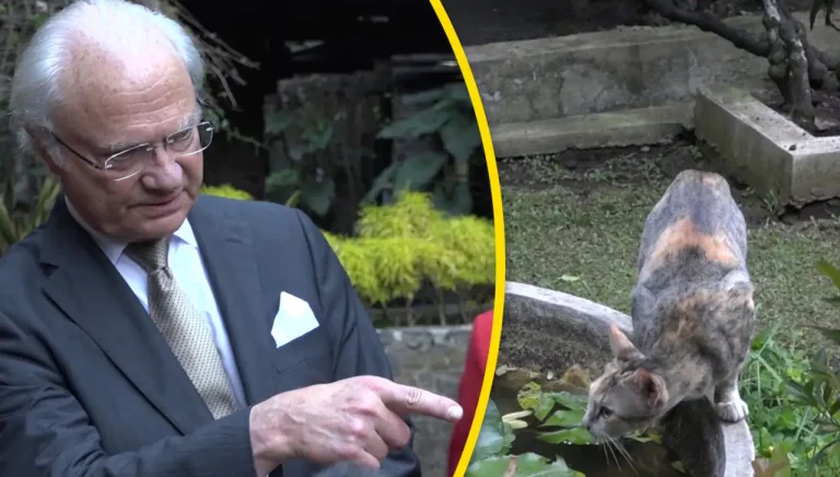 Hur Dog Kungens Pappa