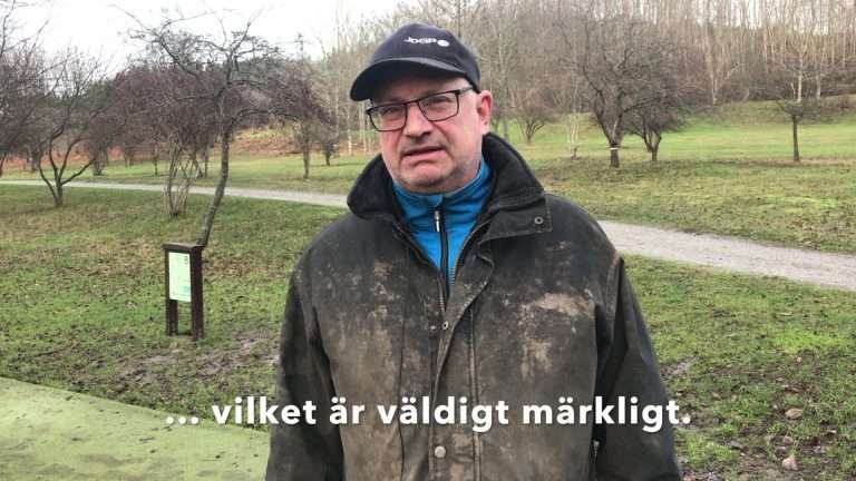 Hur Dog Mats Löf